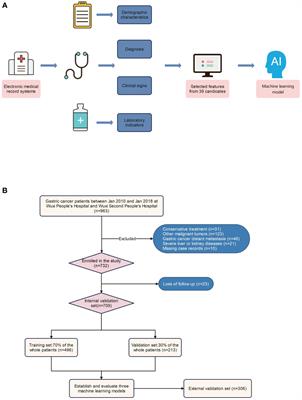 Identification of high-risk factors associated with mortality at 1-, 3-, and 5-year intervals in gastric cancer patients undergoing radical surgery and immunotherapy: an 8-year multicenter retrospective analysis